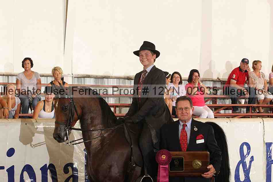 Proof 12yn_02935