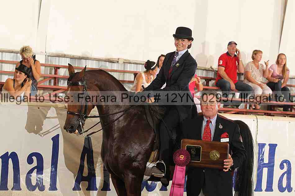 Proof 12yn_02937
