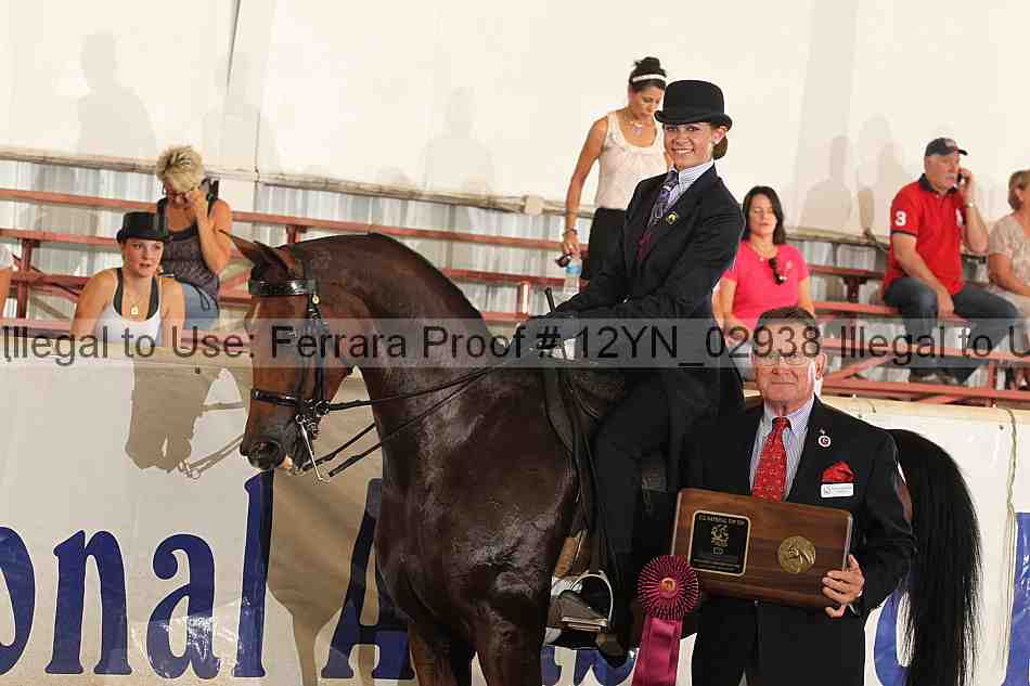 Proof 12yn_02938