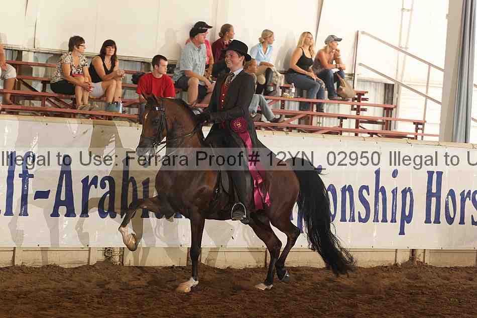 Proof 12yn_02950