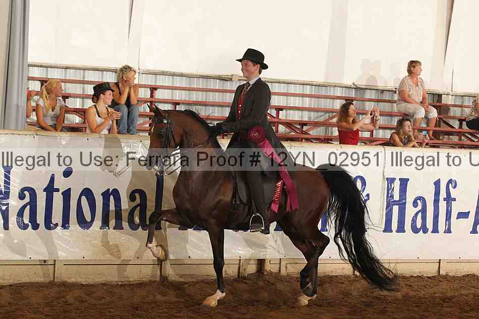 Proof 12yn_02951