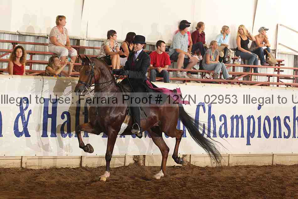 Proof 12yn_02953