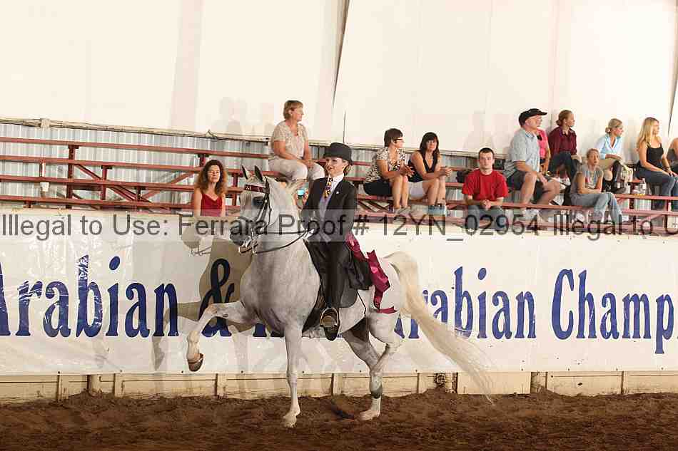 Proof 12yn_02954