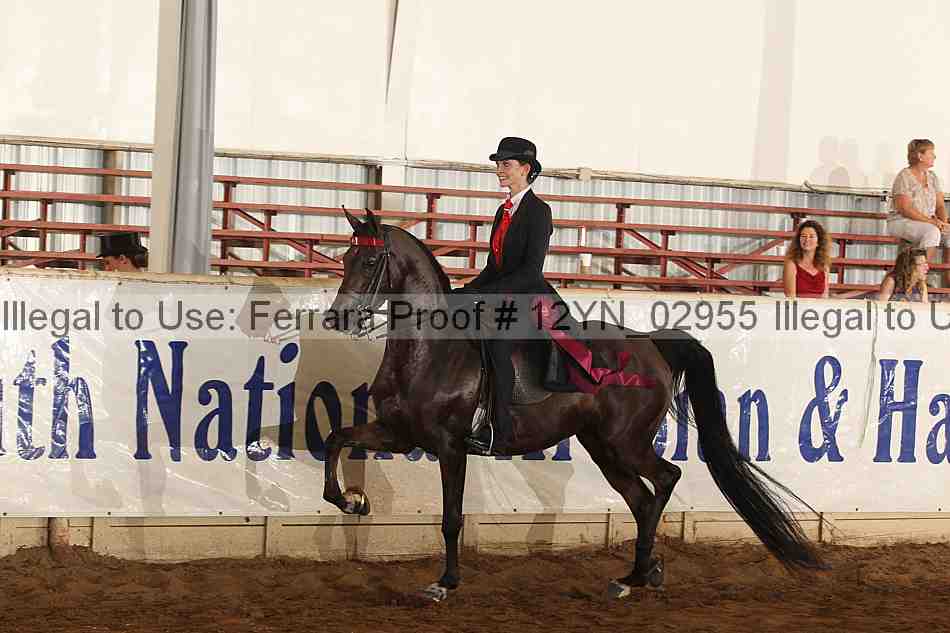 Proof 12yn_02955