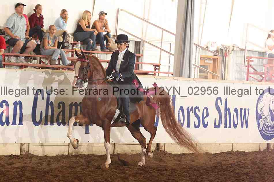 Proof 12yn_02956
