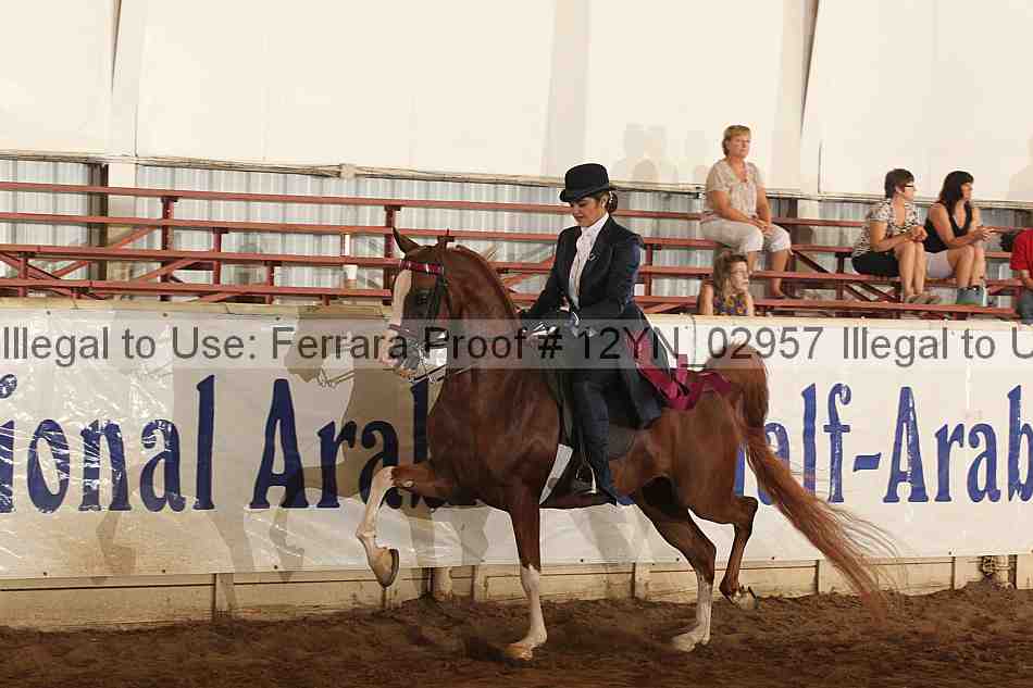 Proof 12yn_02957