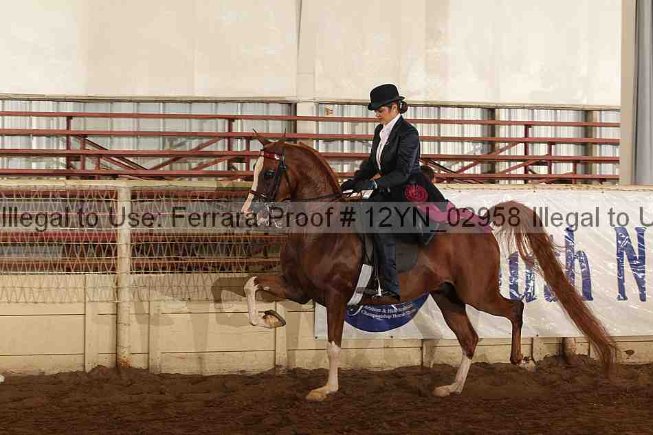 Proof 12yn_02958