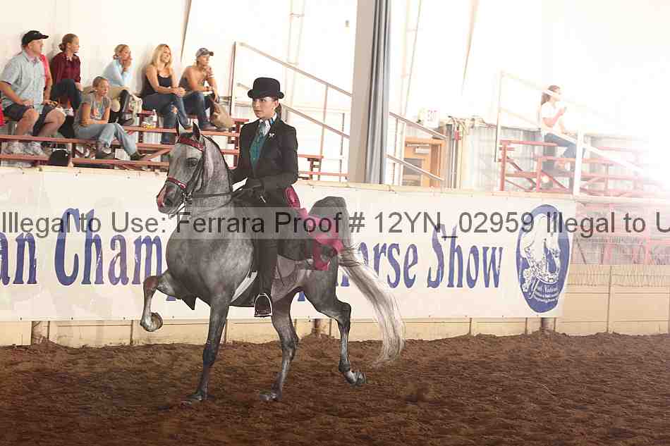Proof 12yn_02959