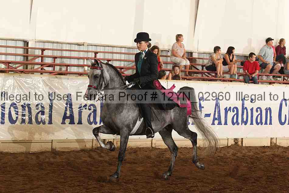 Proof 12yn_02960