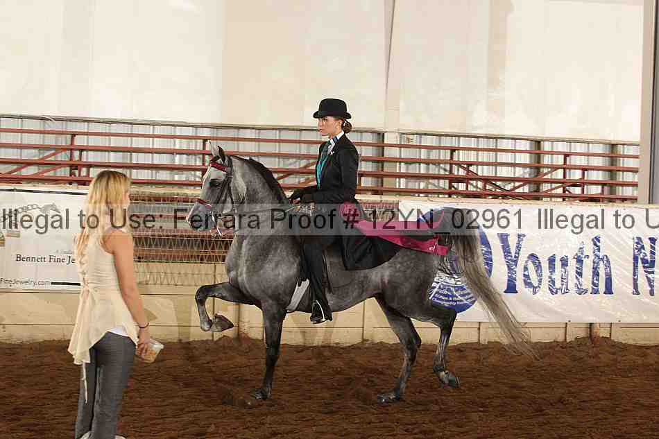 Proof 12yn_02961