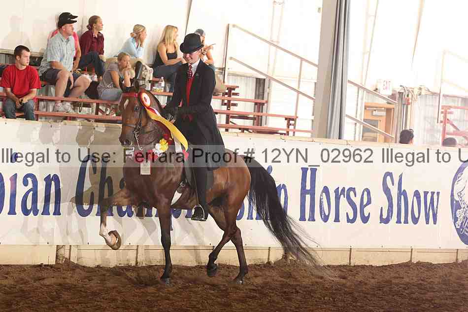 Proof 12yn_02962