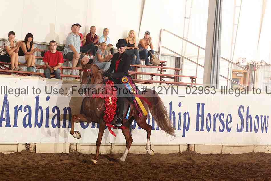 Proof 12yn_02963