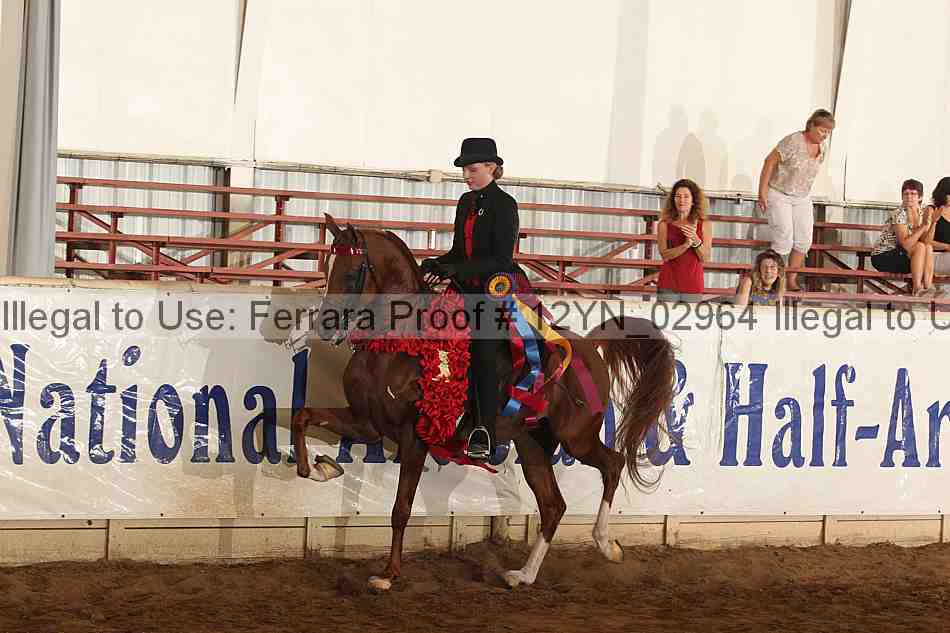 Proof 12yn_02964