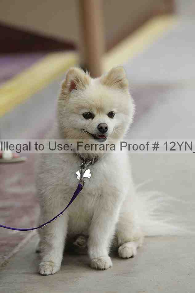 Proof 12yn_14876