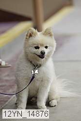 12yn_14876 proof