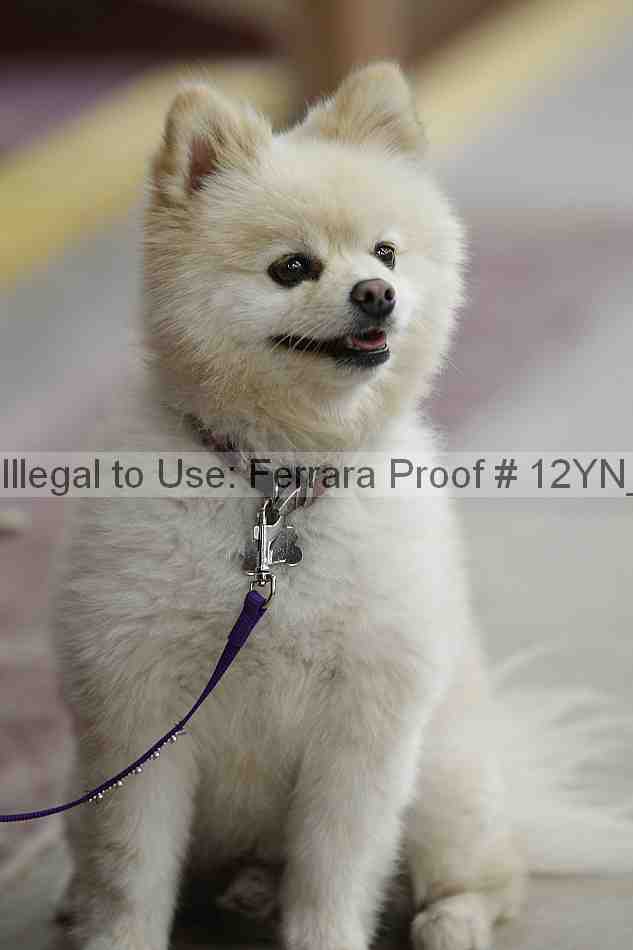 Proof 12yn_14877