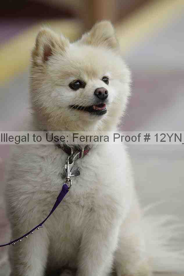 Proof 12yn_14878
