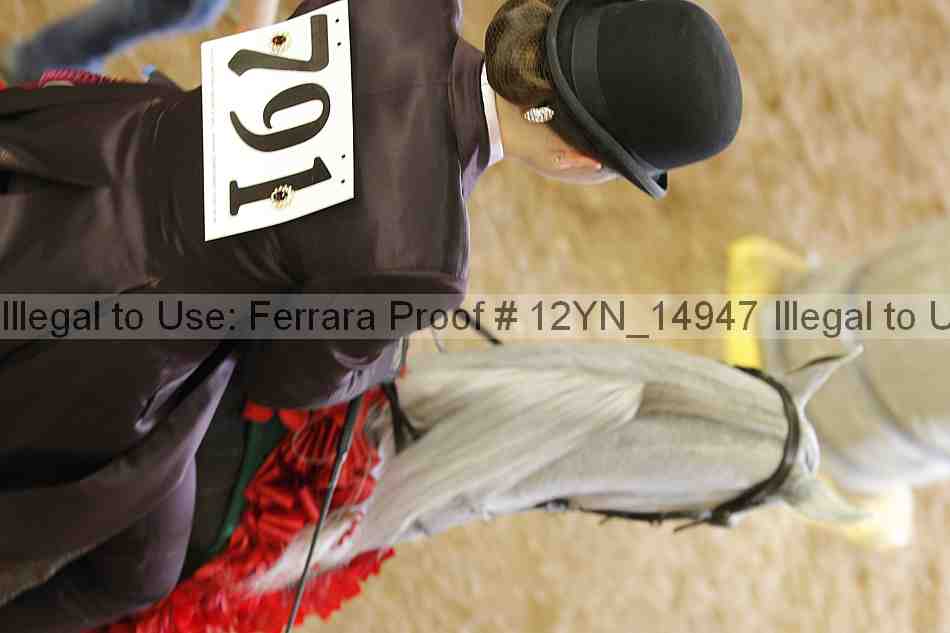 Proof 12yn_14947