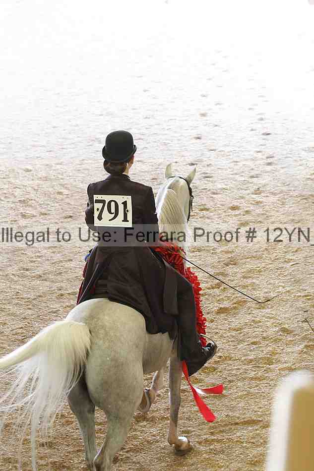 Proof 12yn_14949