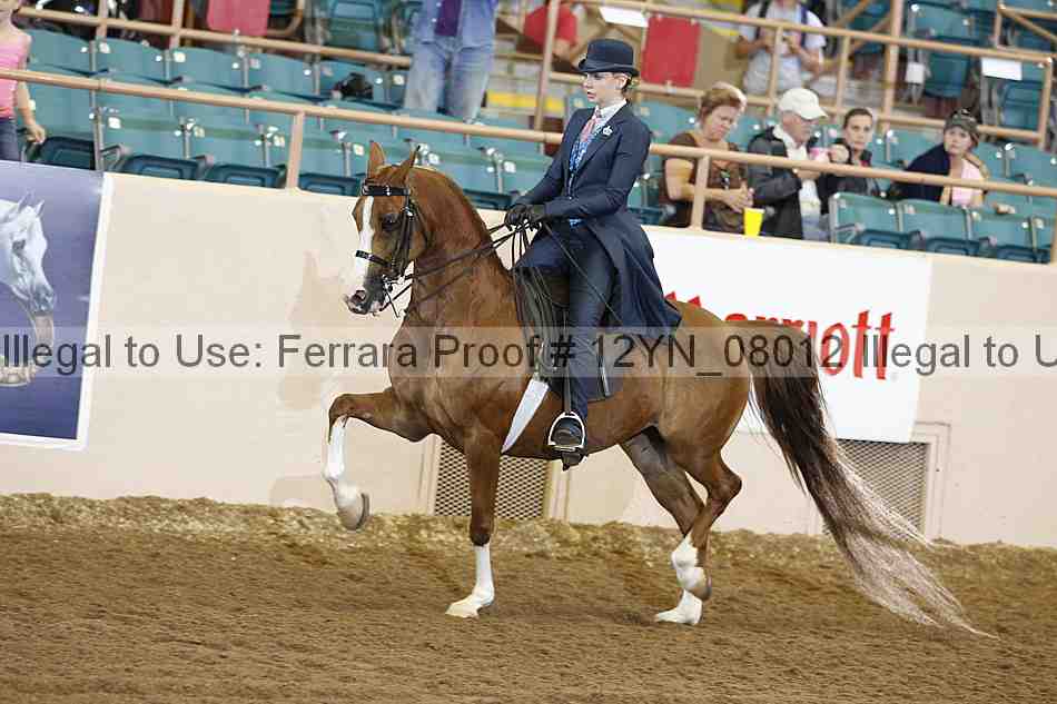Proof 12yn_08012