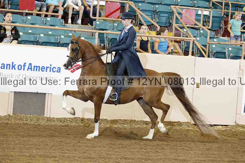 Proof 12yn_08013