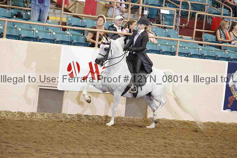 Proof 12yn_08014