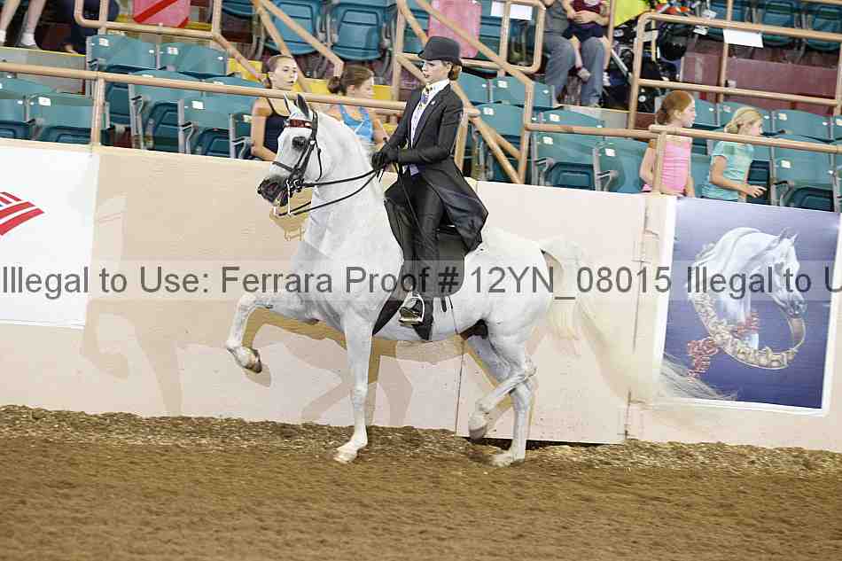 Proof 12yn_08015