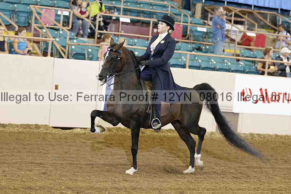 Proof 12yn_08016