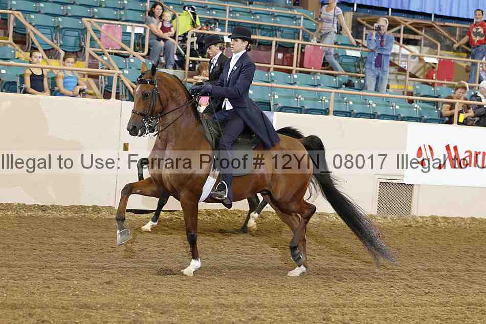 Proof 12yn_08017