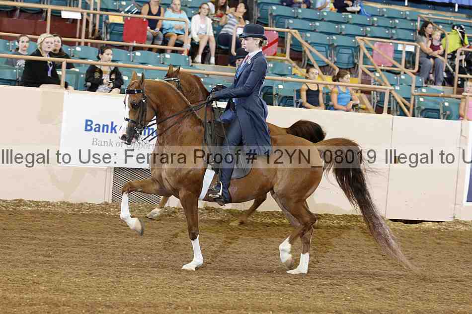 Proof 12yn_08019