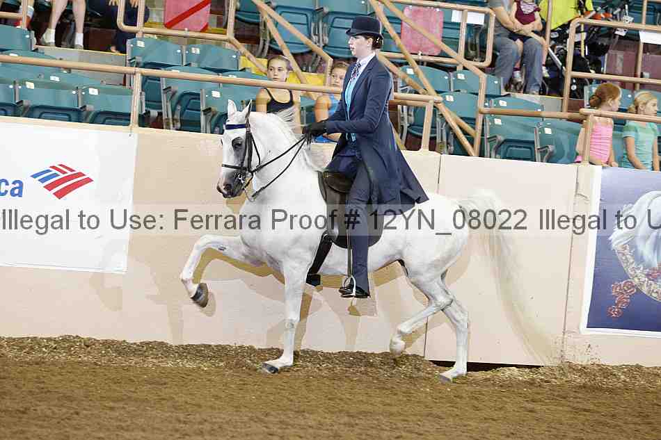 Proof 12yn_08022
