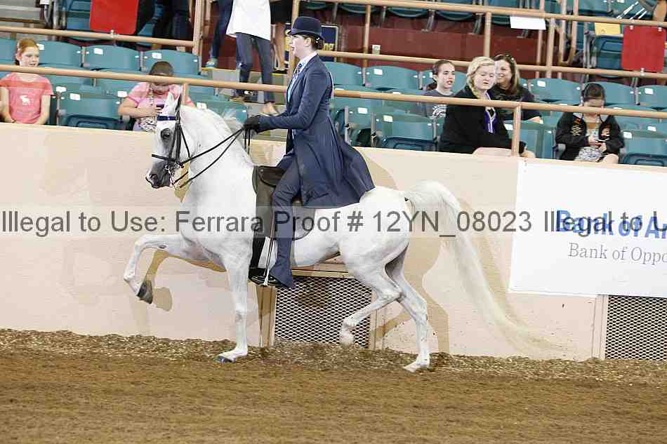 Proof 12yn_08023