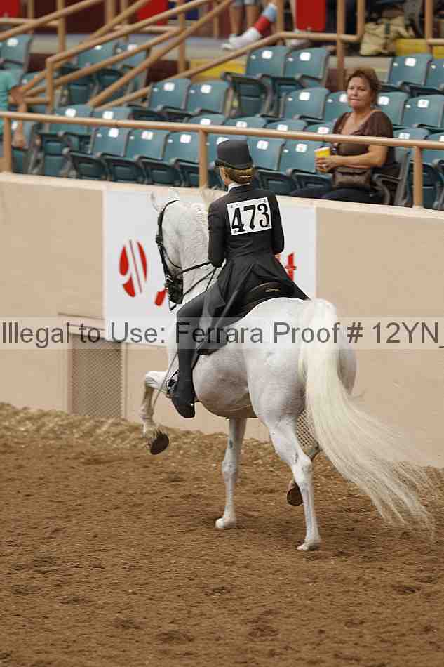 Proof 12yn_08024