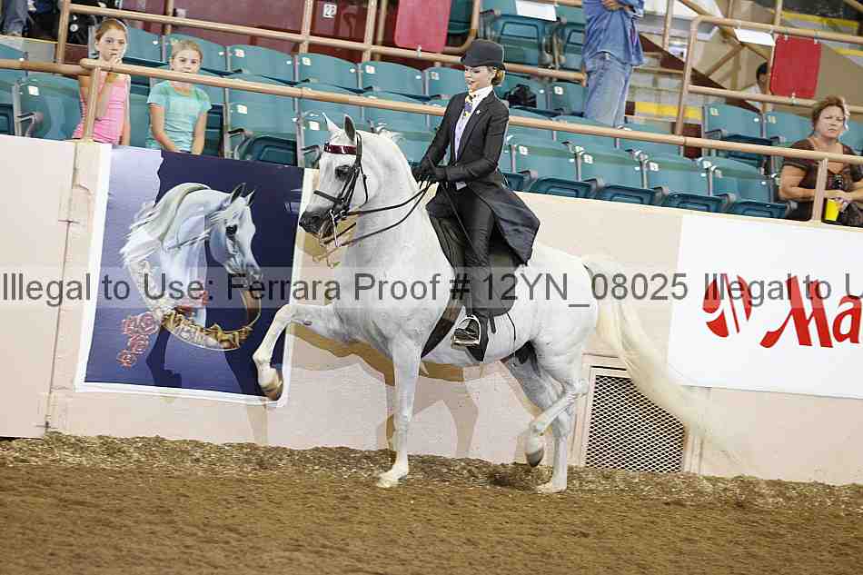 Proof 12yn_08025
