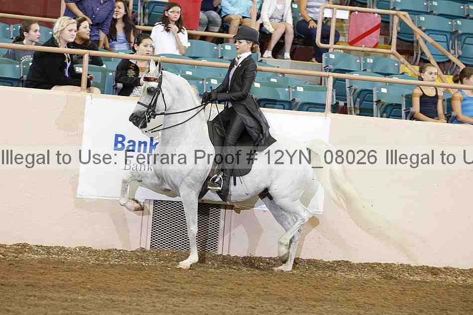 Proof 12yn_08026