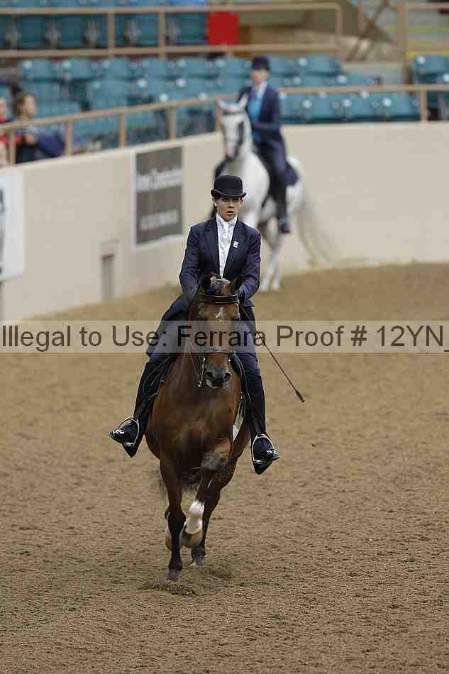 Proof 12yn_08027