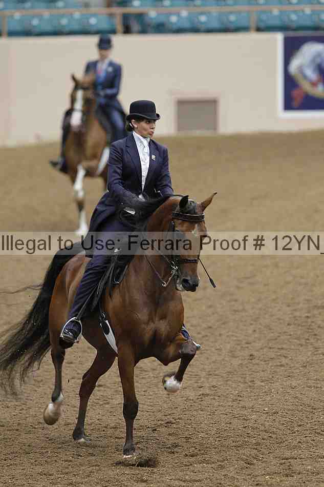 Proof 12yn_08028