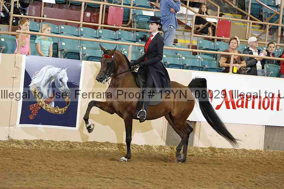 Proof 12yn_08029