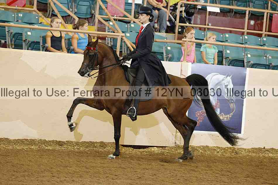 Proof 12yn_08030