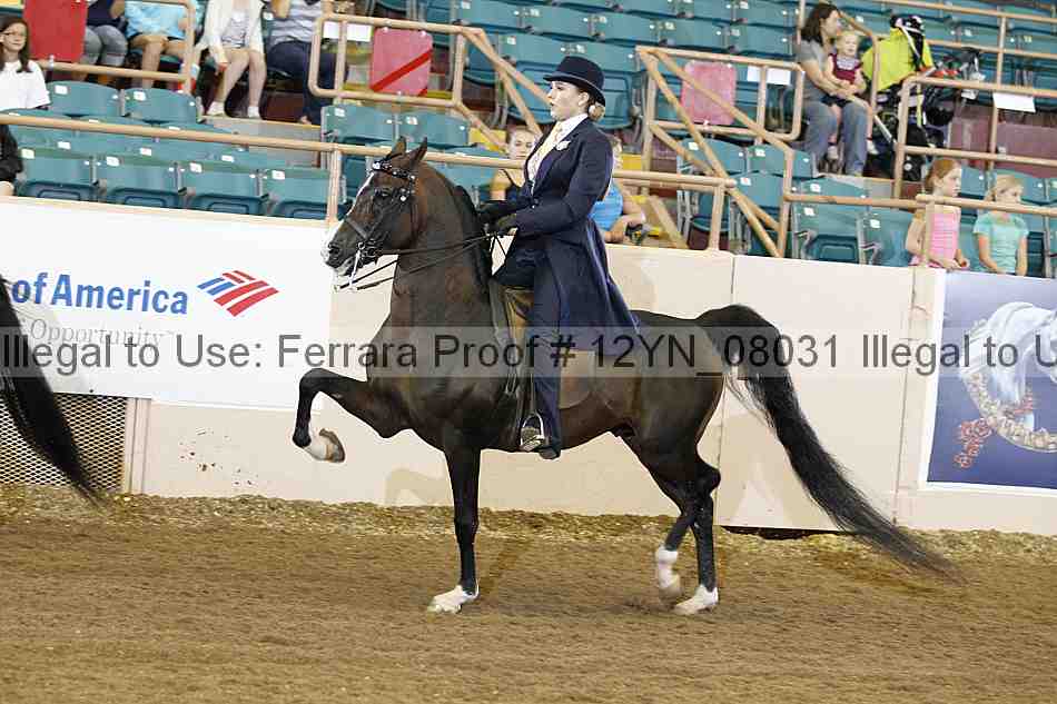 Proof 12yn_08031