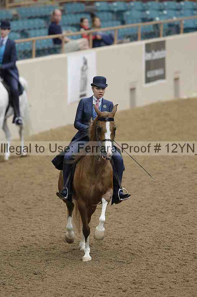 Proof 12yn_08032