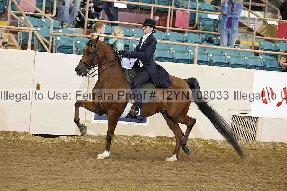 Proof 12yn_08033