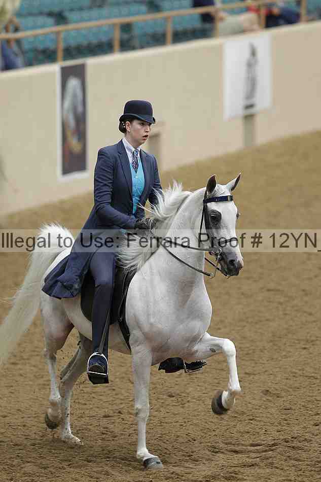 Proof 12yn_08034