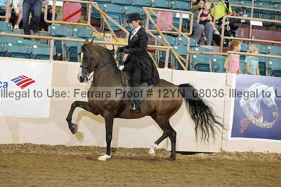 Proof 12yn_08036