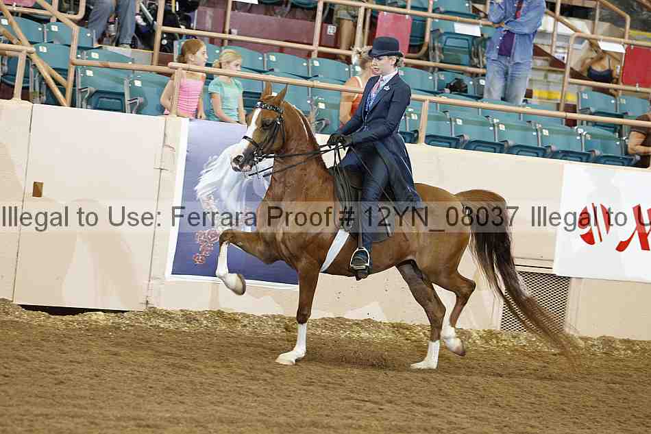 Proof 12yn_08037