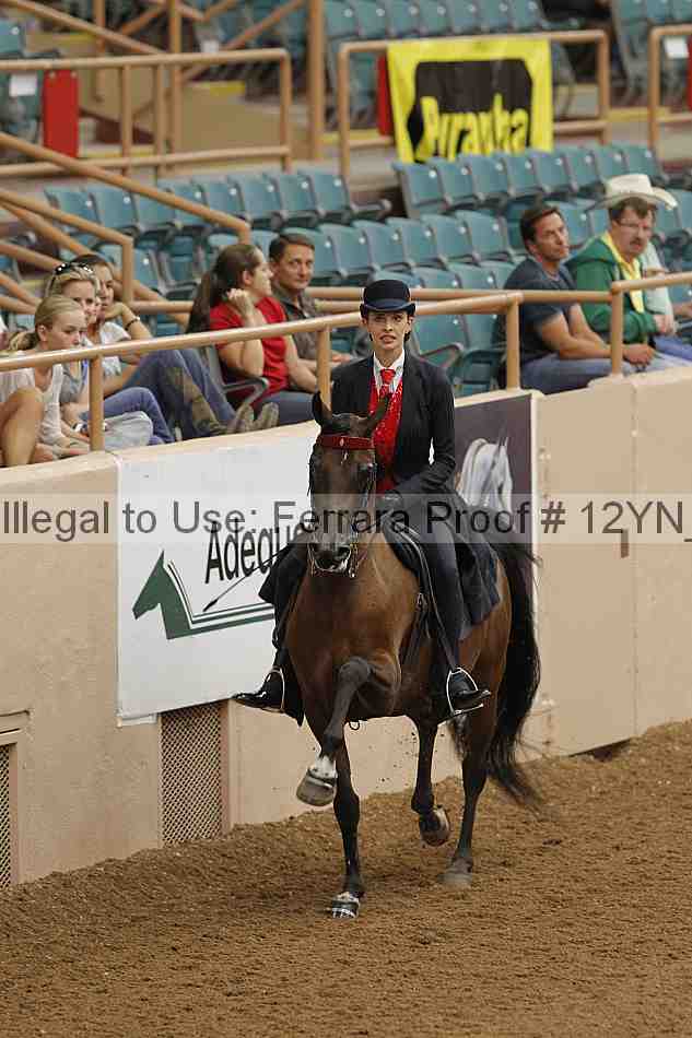 Proof 12yn_08038