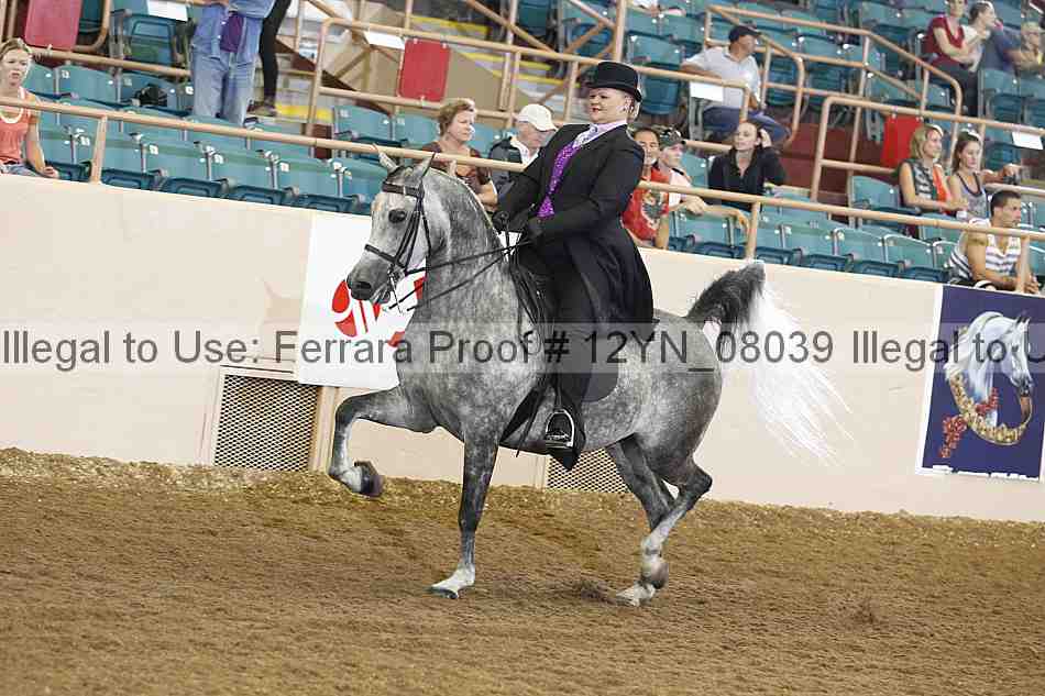 Proof 12yn_08039