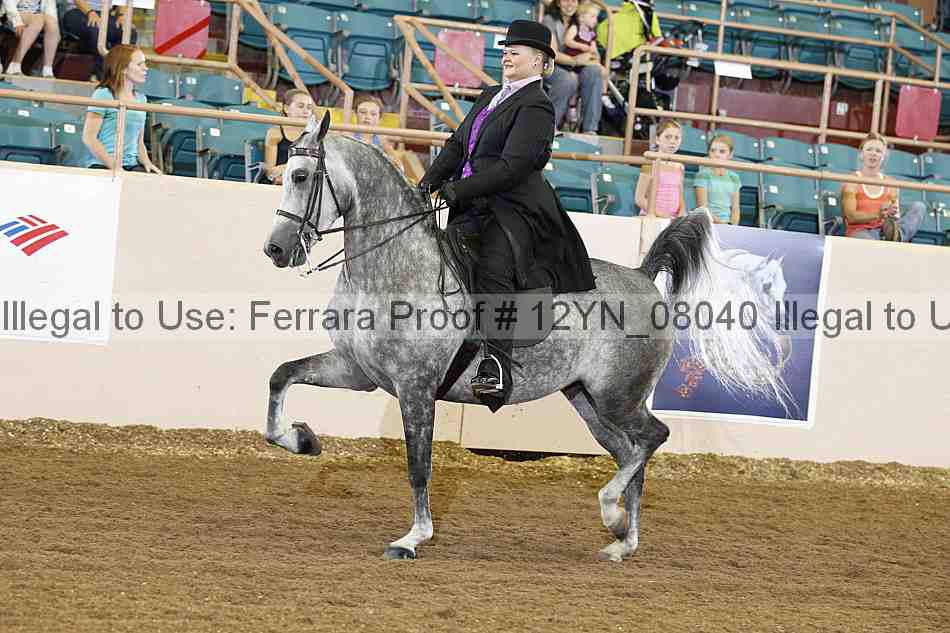 Proof 12yn_08040