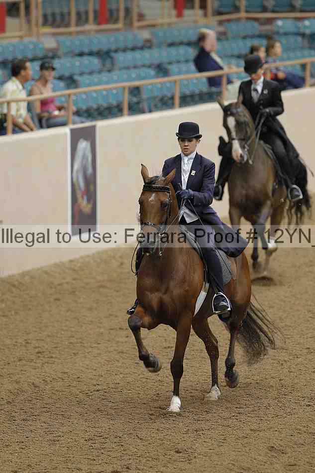 Proof 12yn_08041