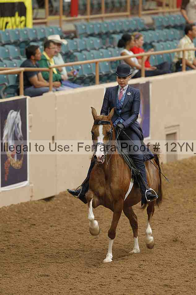 Proof 12yn_08043